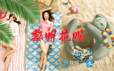 目不暇接花呗